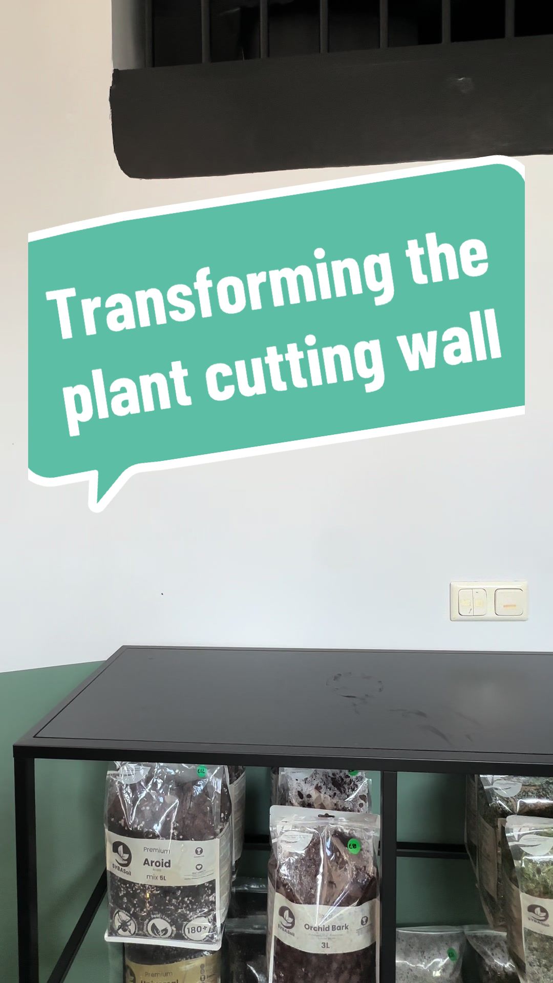 @BMBOplants