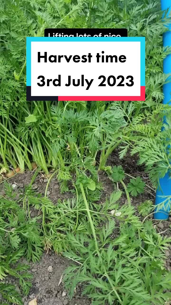 @GrowFruitandVeg