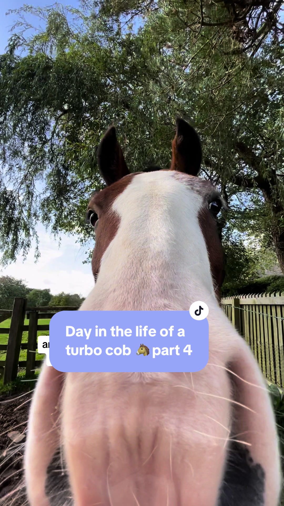 @Yardd | Equine Life Simplified