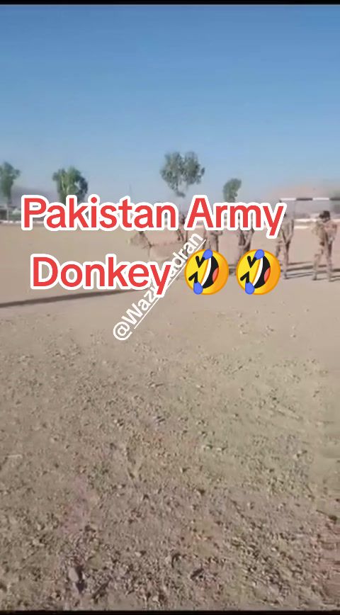 @Wazir  Zadran