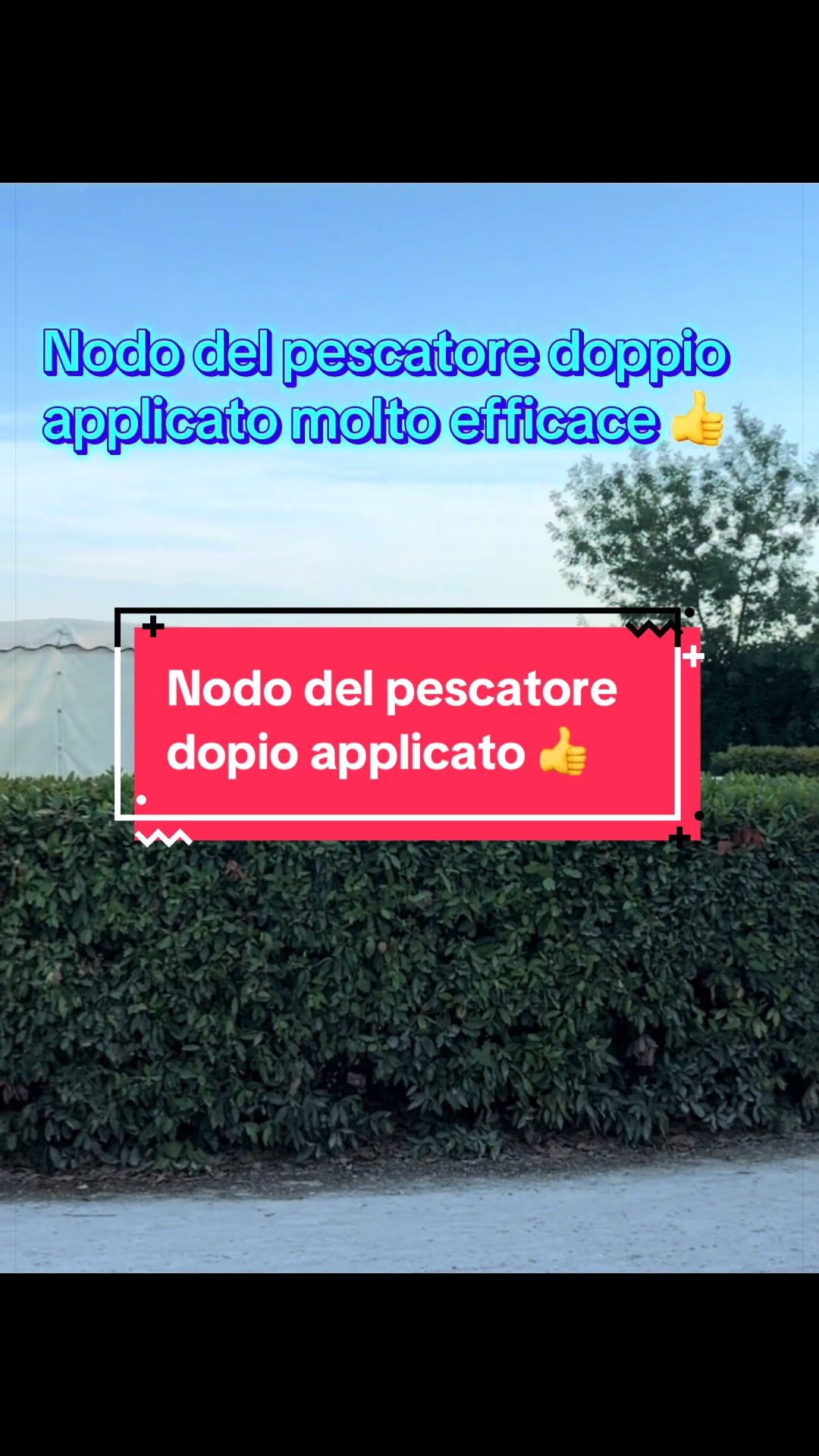 @Aurelio