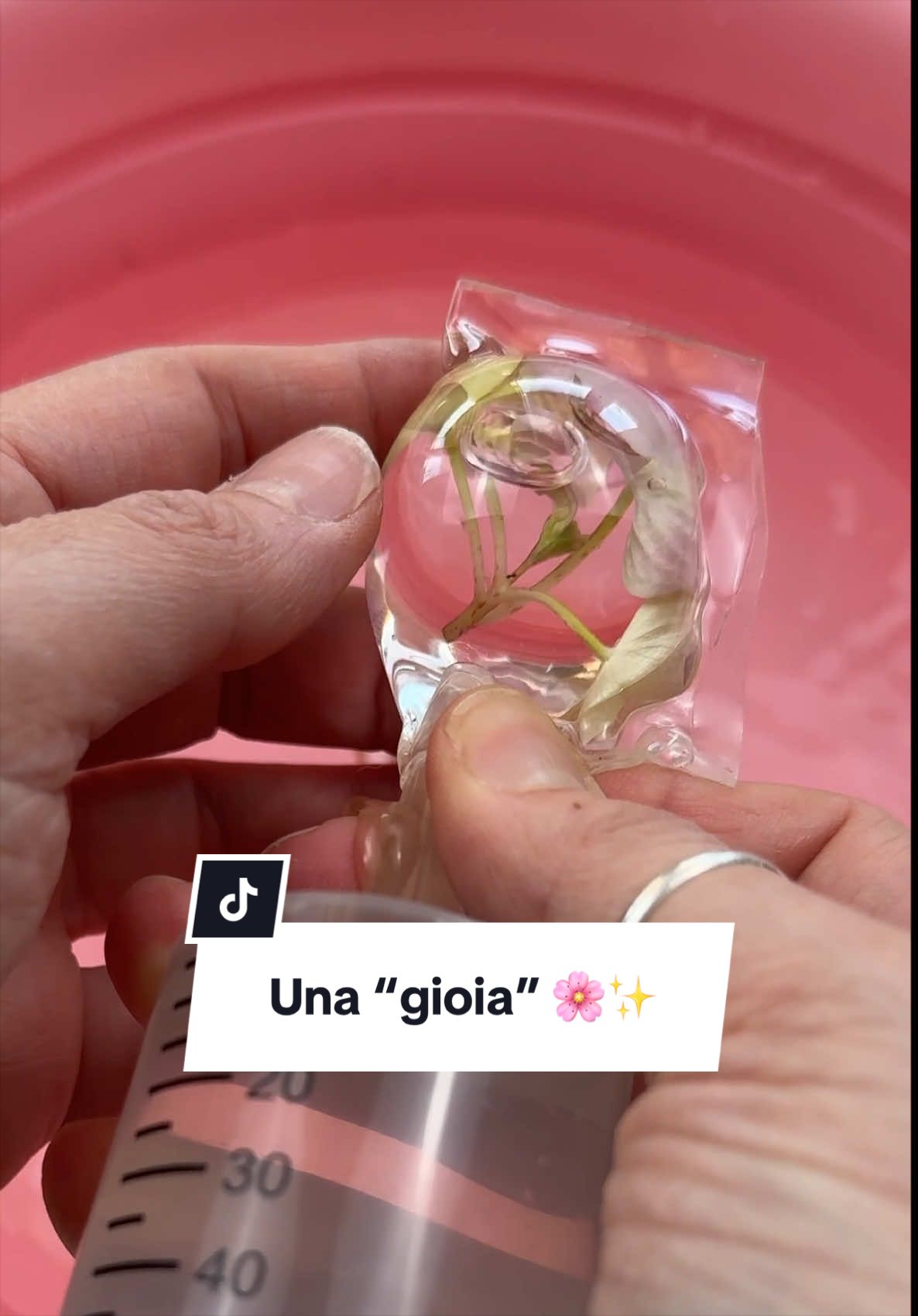 @Alex