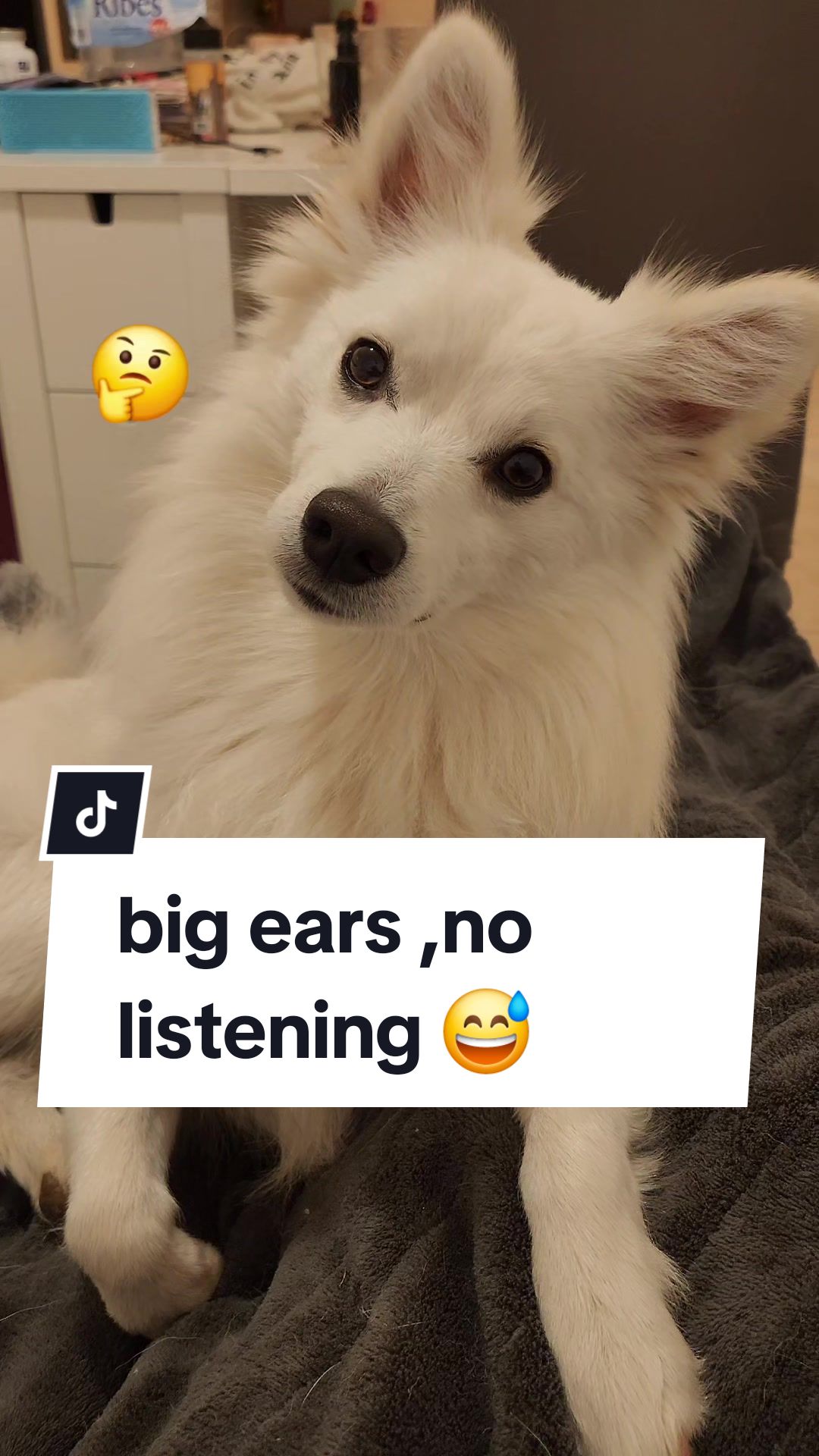 @TheWhitePrince👑