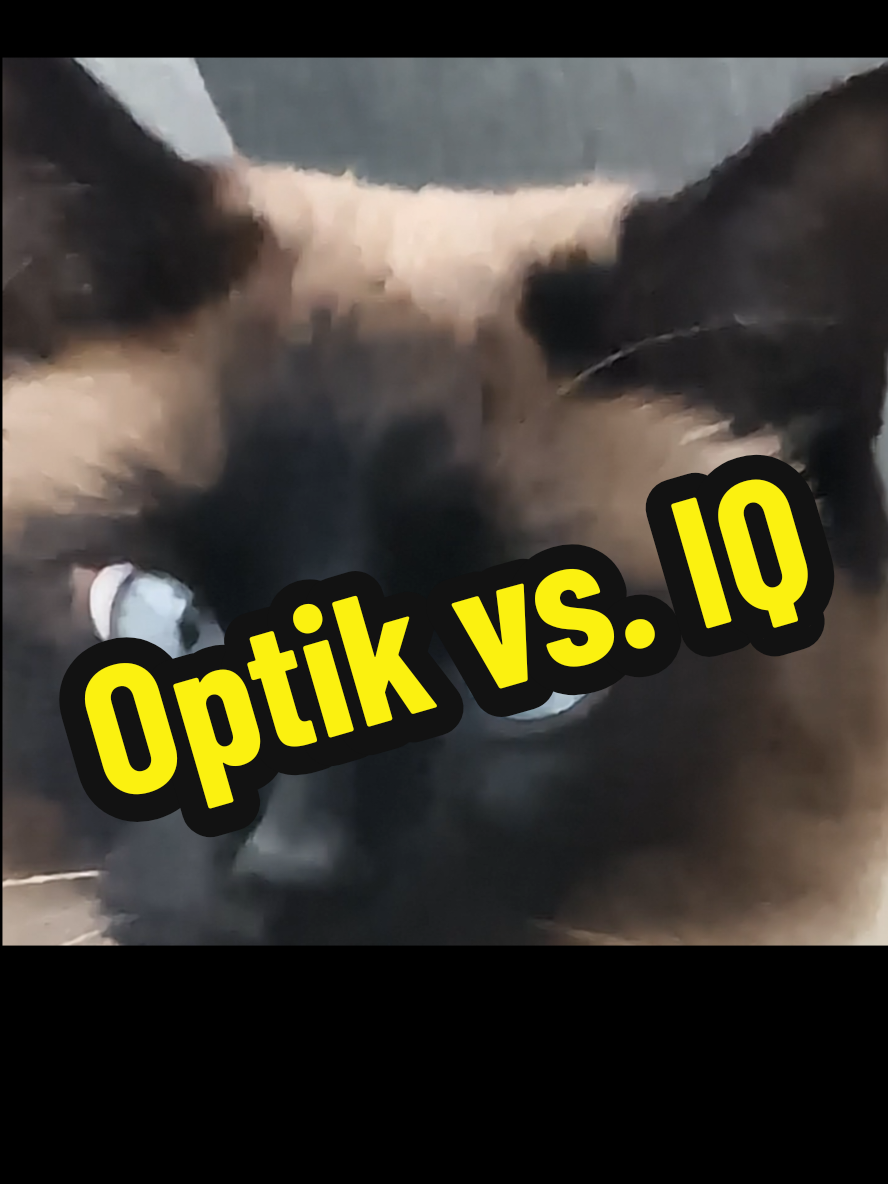 @gp
