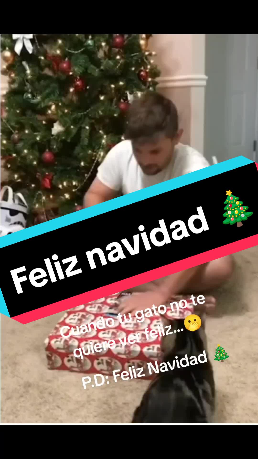 @elgatok