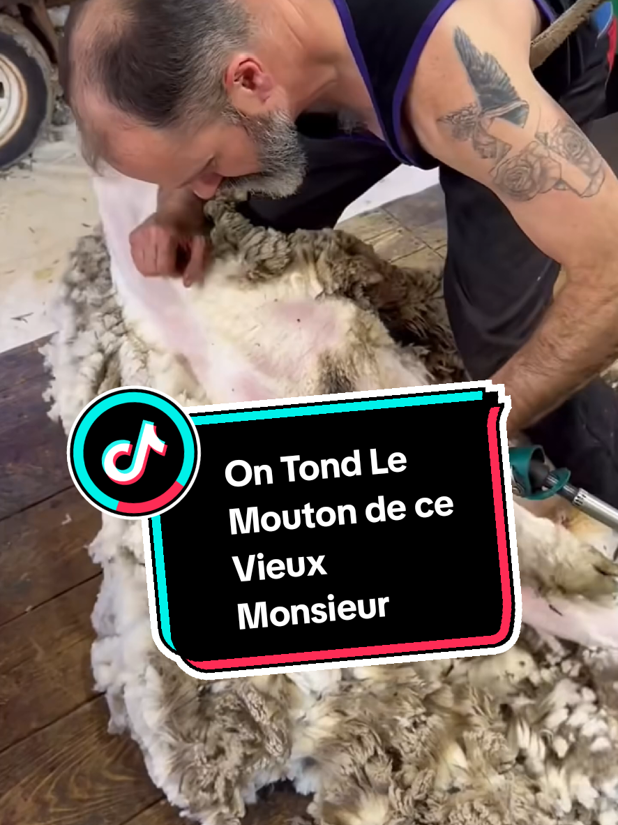 @TMFR 🇫🇷