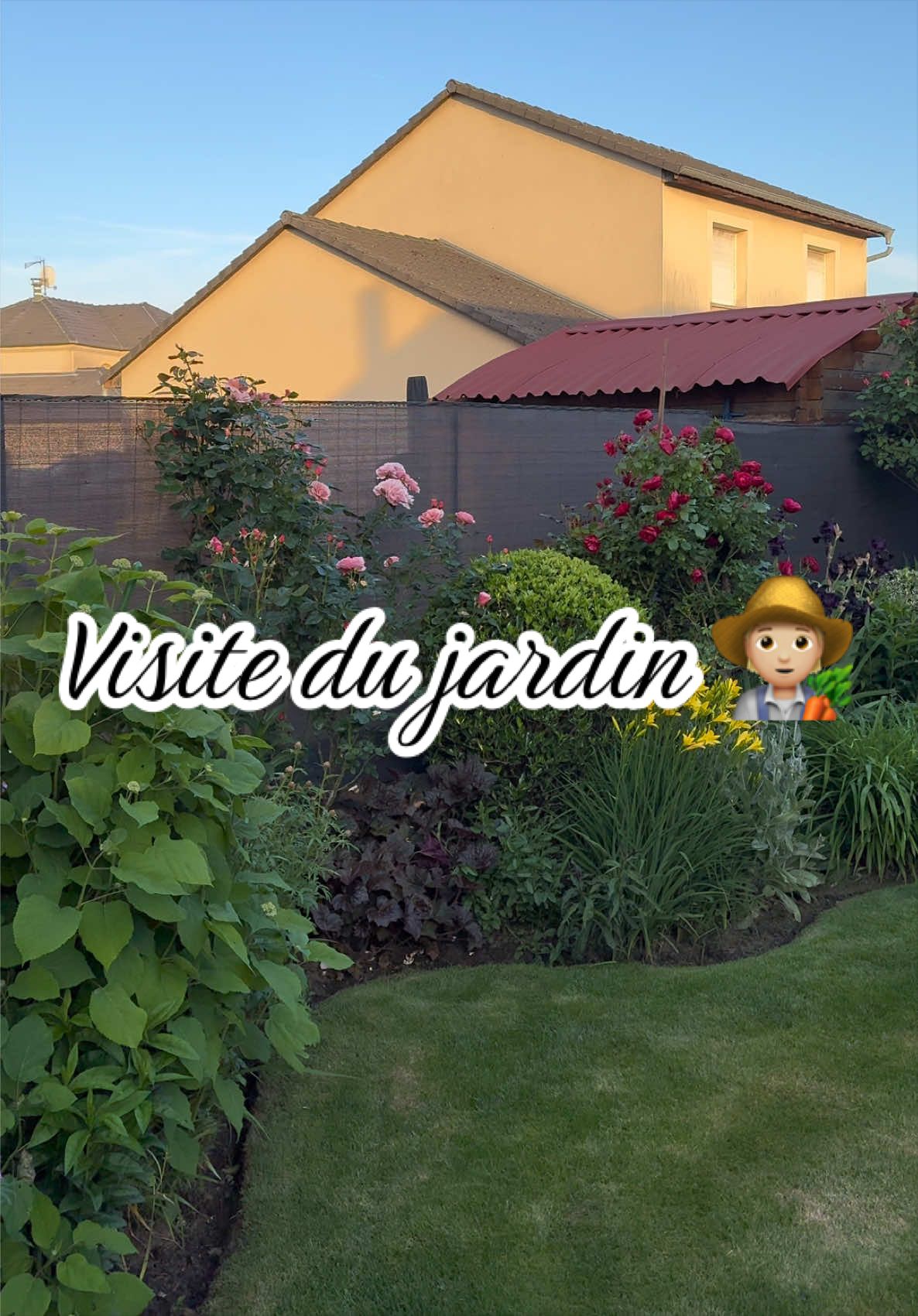@Jardin de Rémi