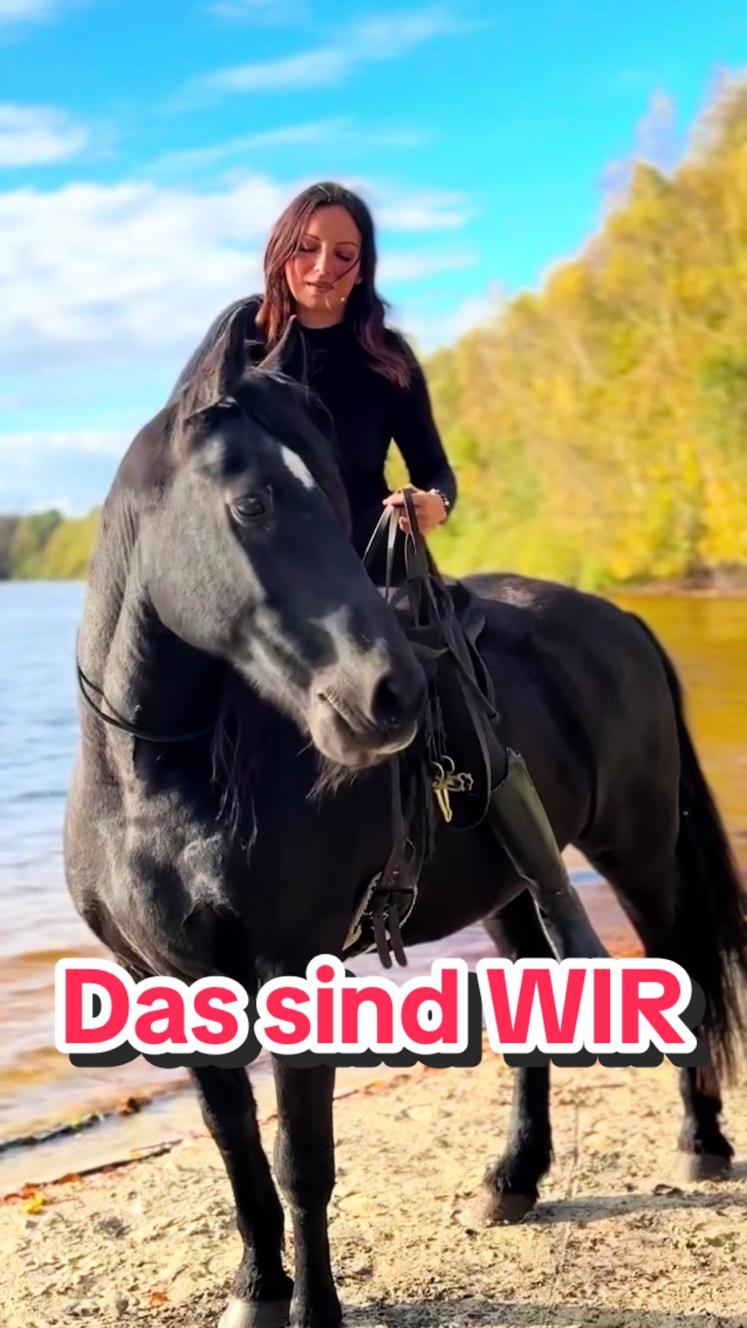 @Svenjaundclippy
