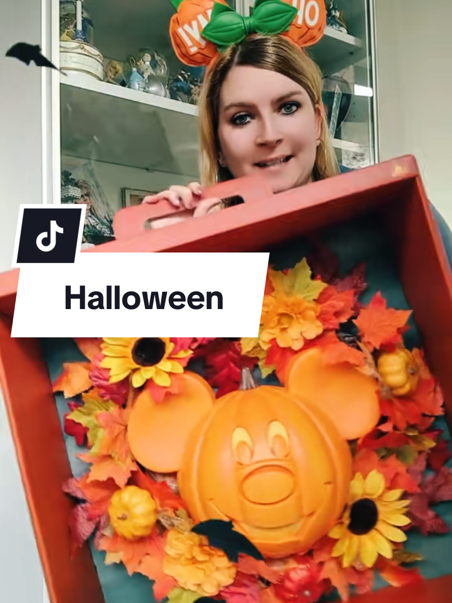 @Christin | Disney Collector