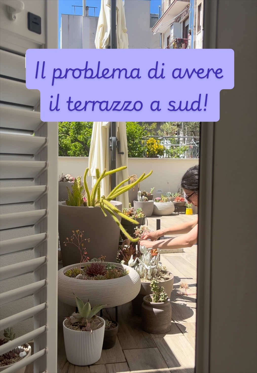 @piccole.spine.felici