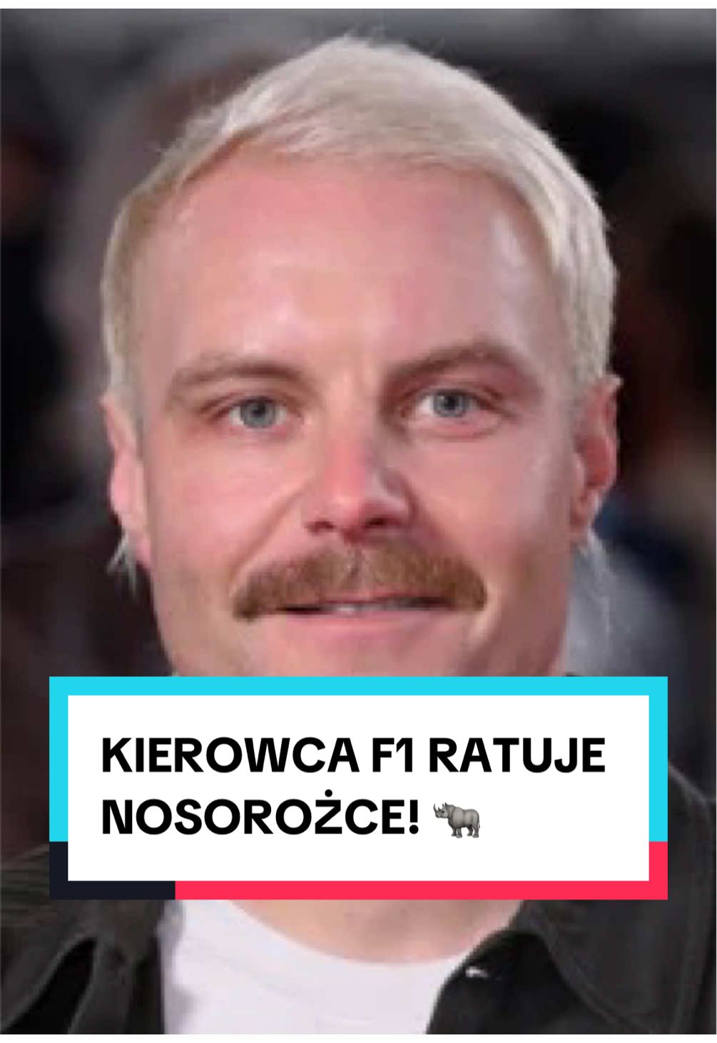 @pandawojtekyt