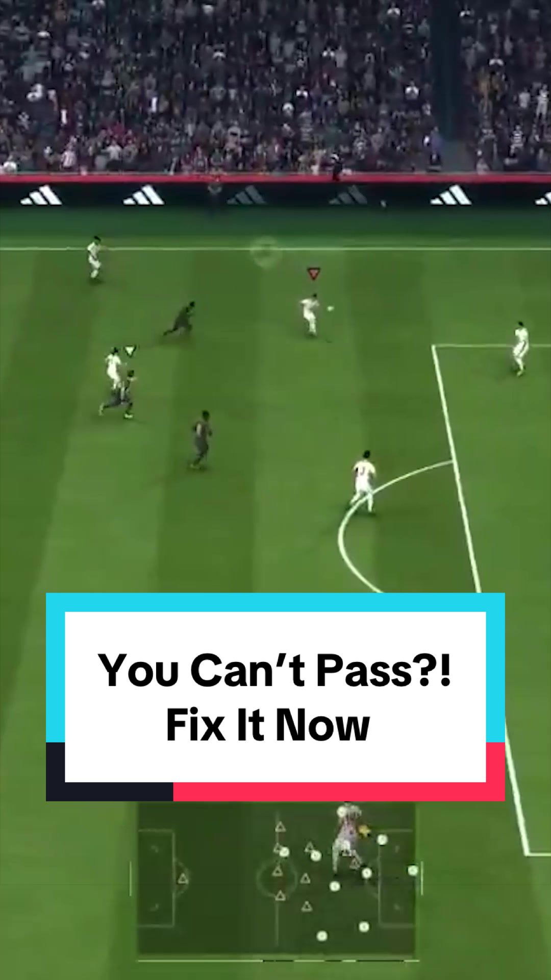 @THE GUIDE - FC Coaching
