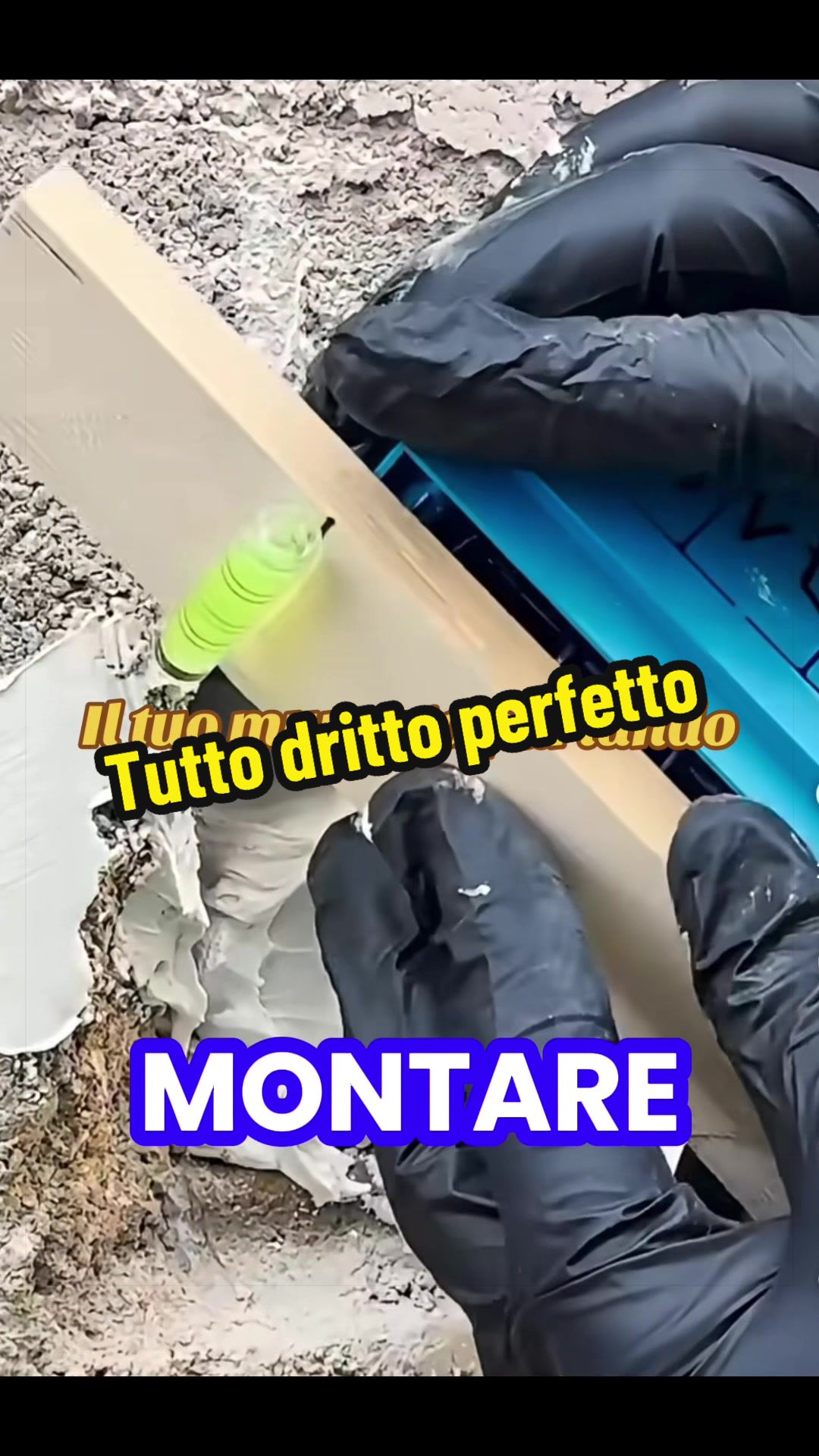 @Alessandro Cuomo ♌️