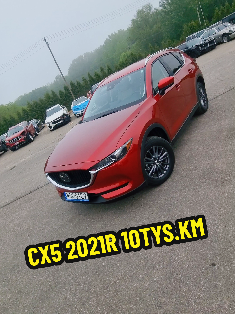 @Marcinzmotoleader