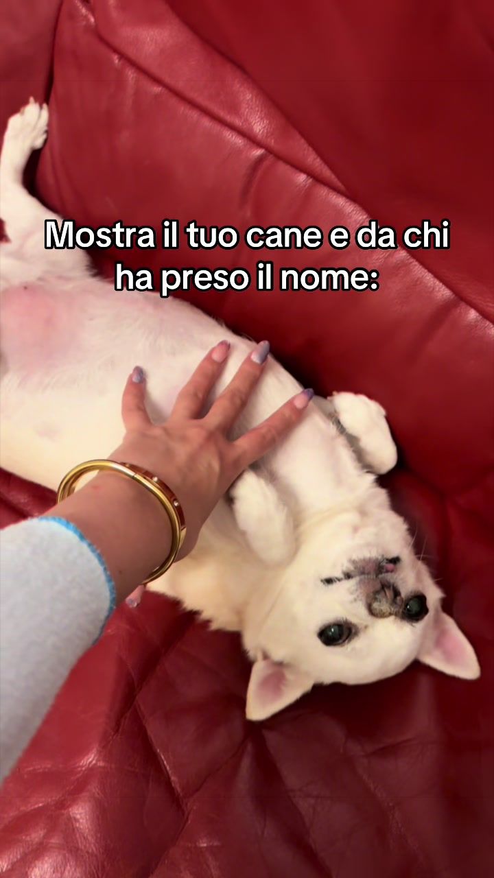 @Francy26