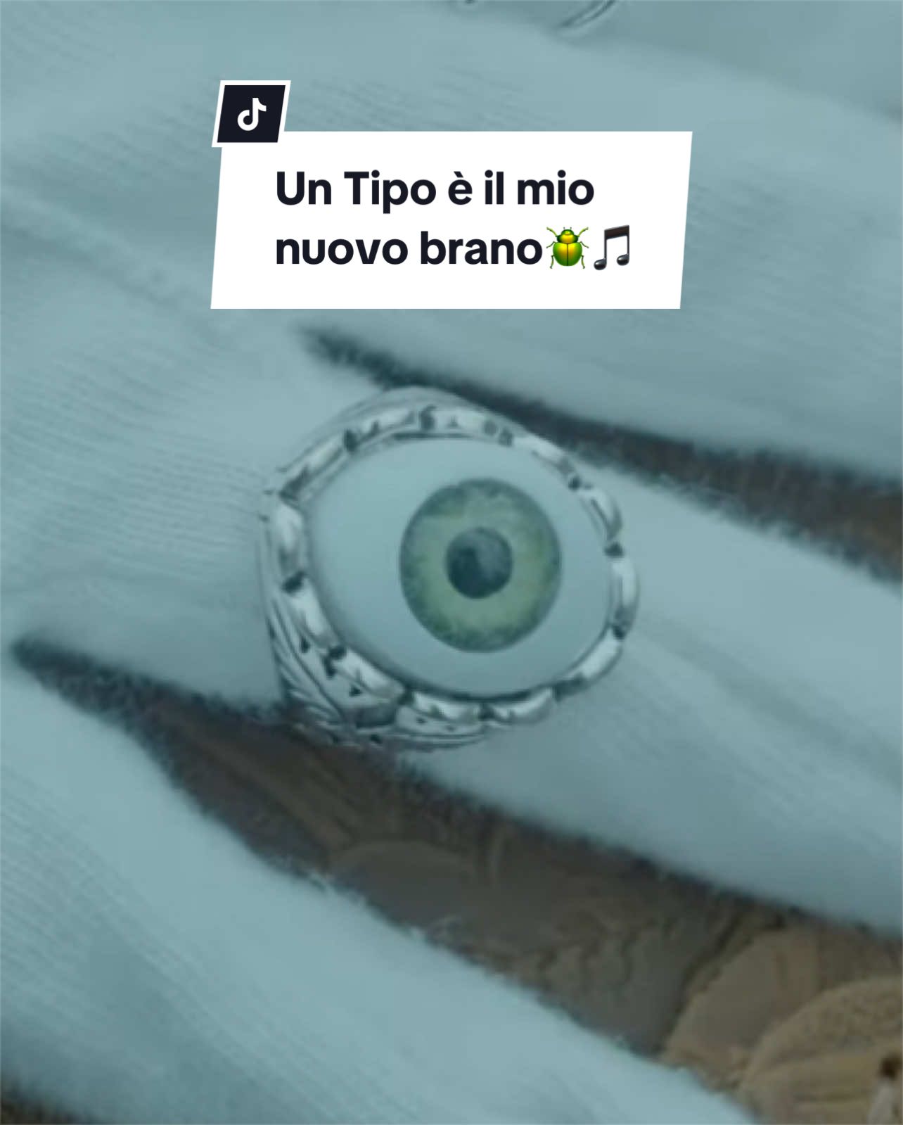 @alanis.nabi