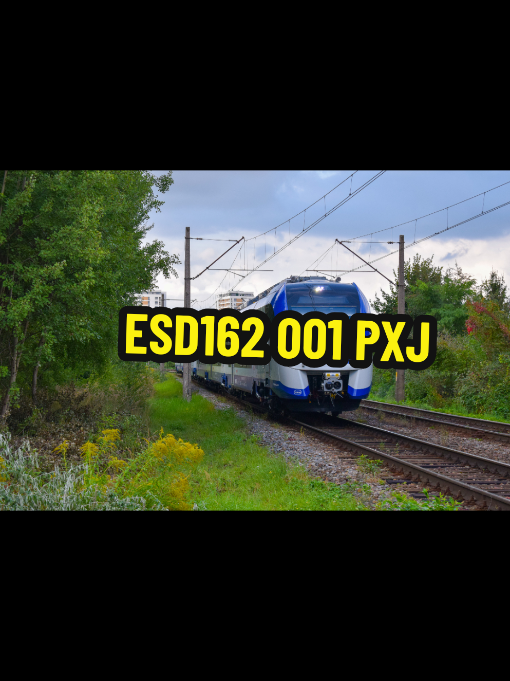 @🚄Trainspotter Freddy