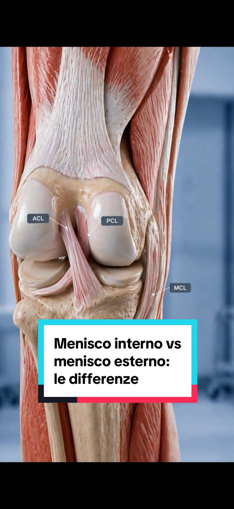 @Osteopata Gaggianesi
