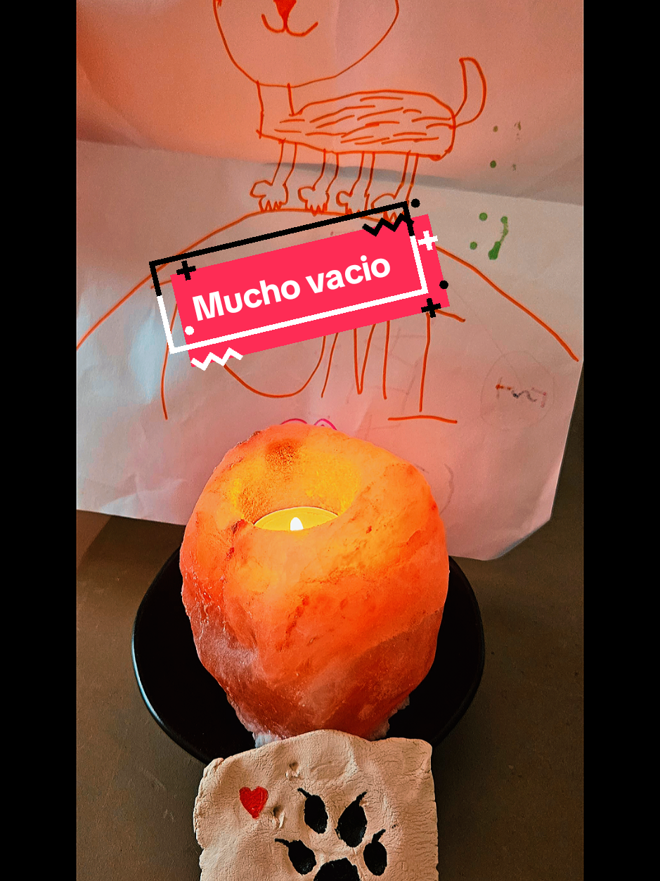 @lolalapiconera