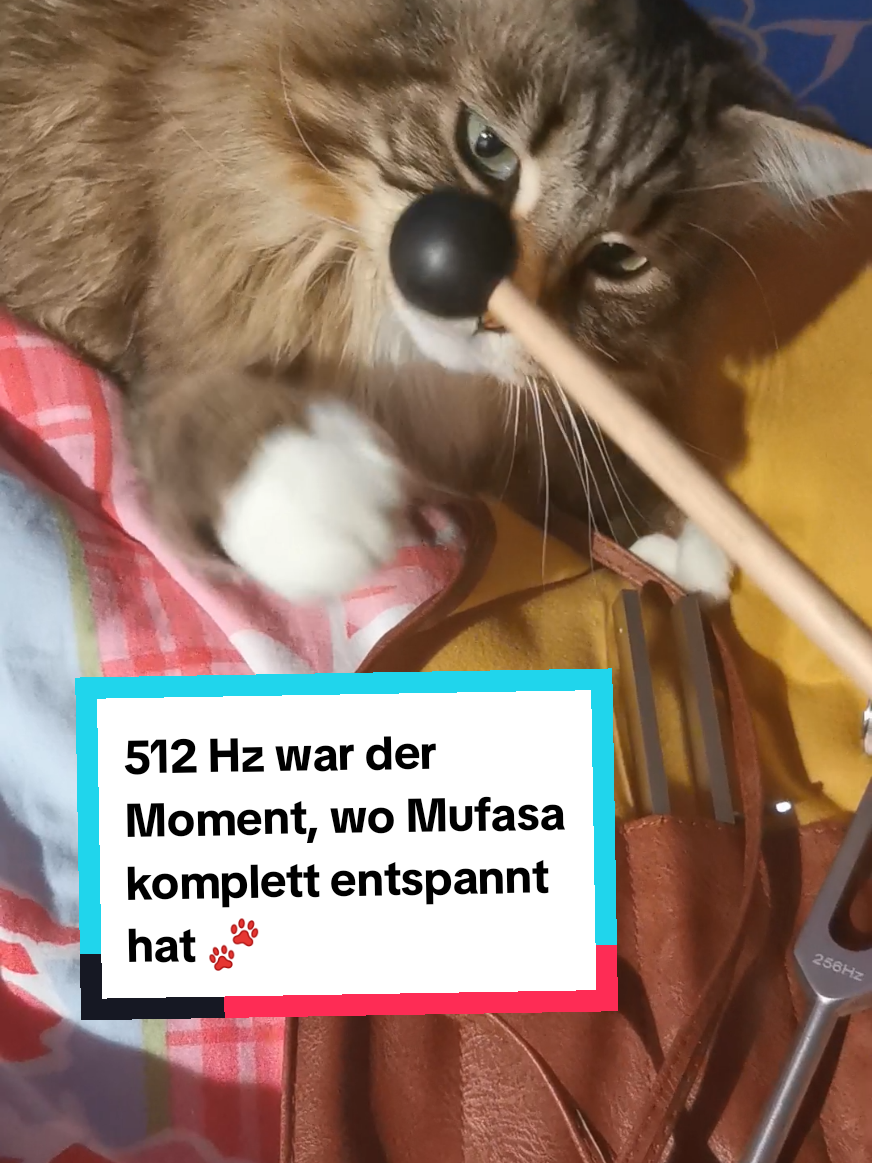 @animalslover