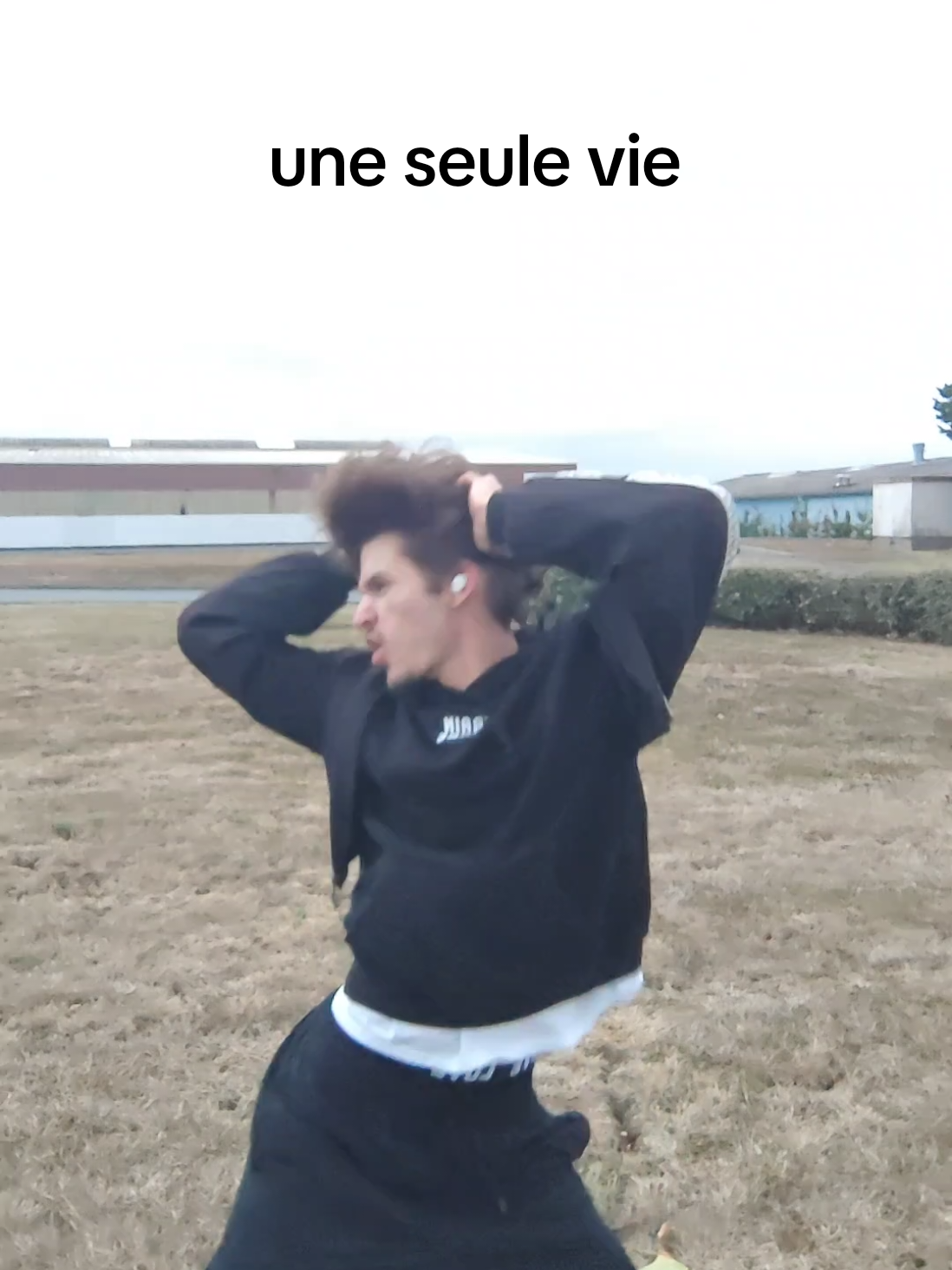 @leoreptilee