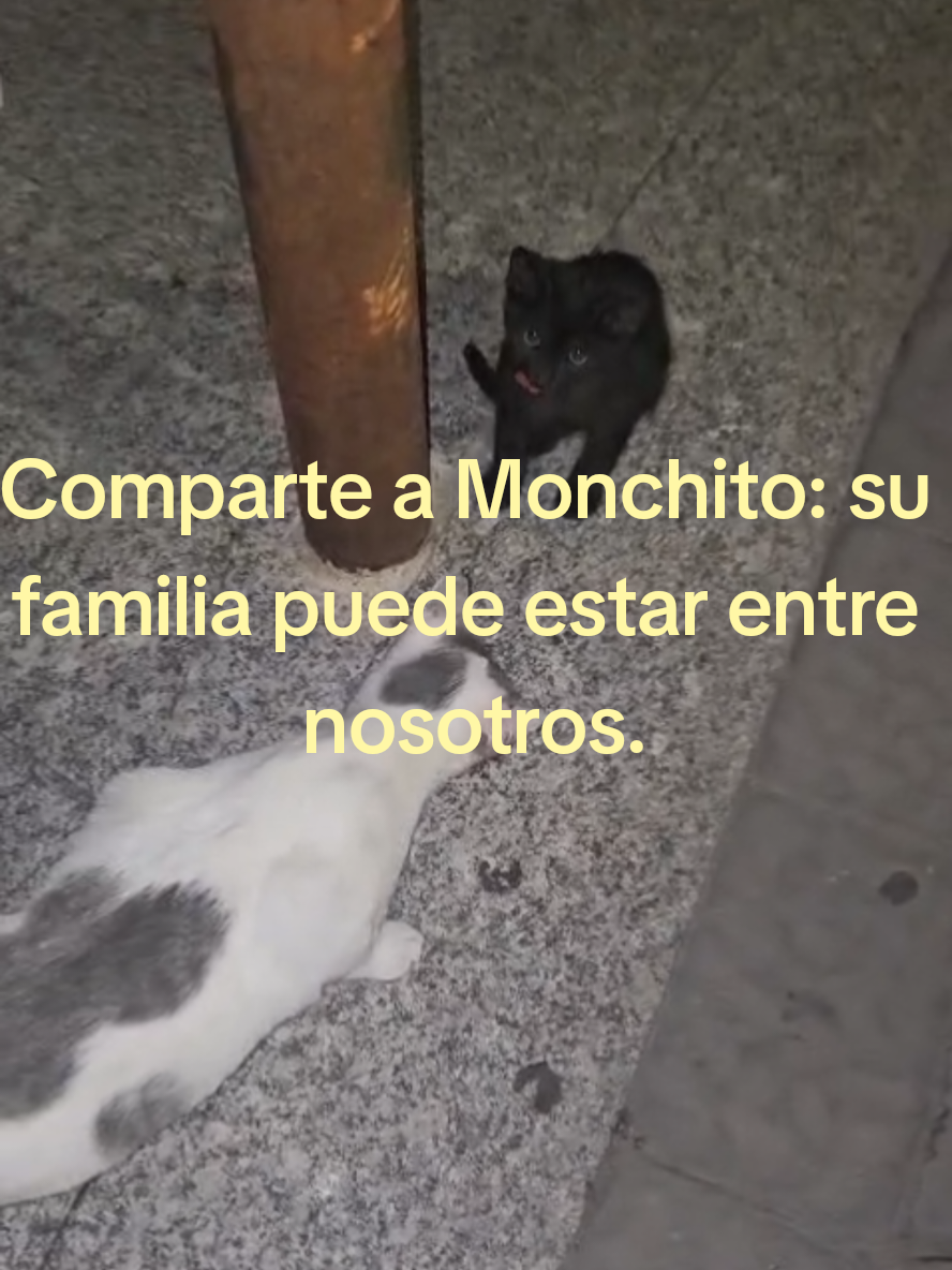 @garritasespaciales