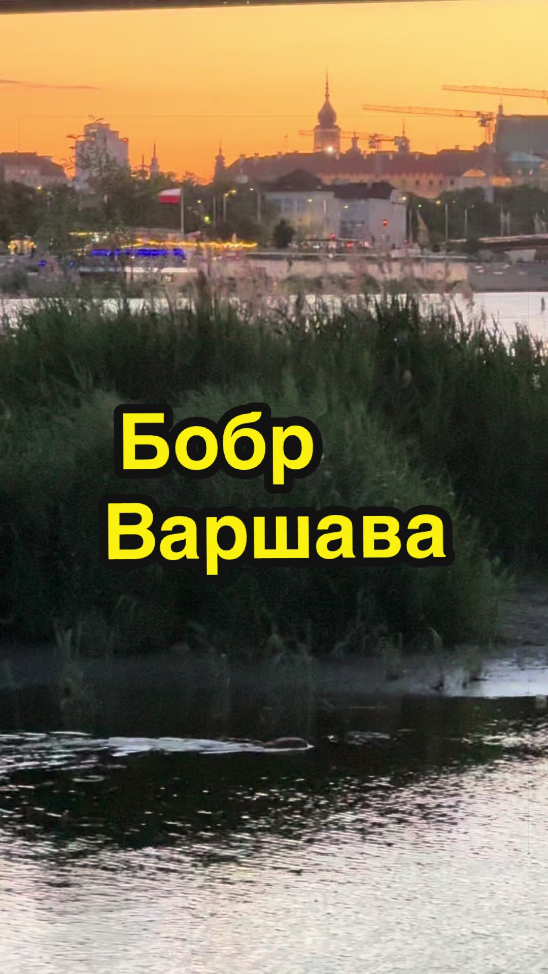 @Bartłomiej Bublewicz