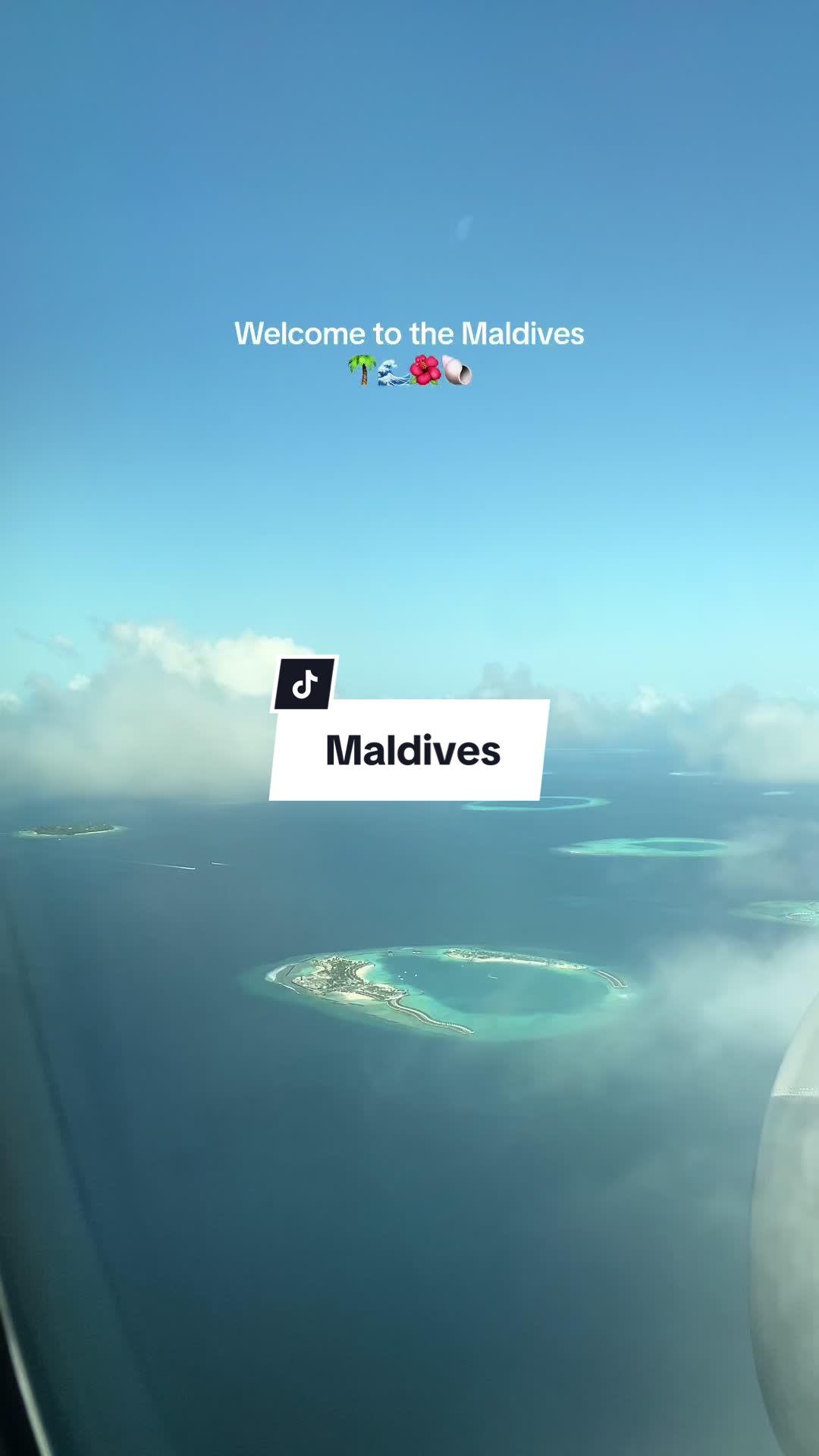 @Mineia 🌺 vegan travel