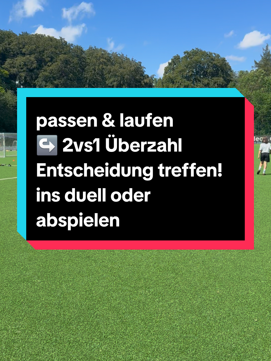 @die11erprofis 2017/18