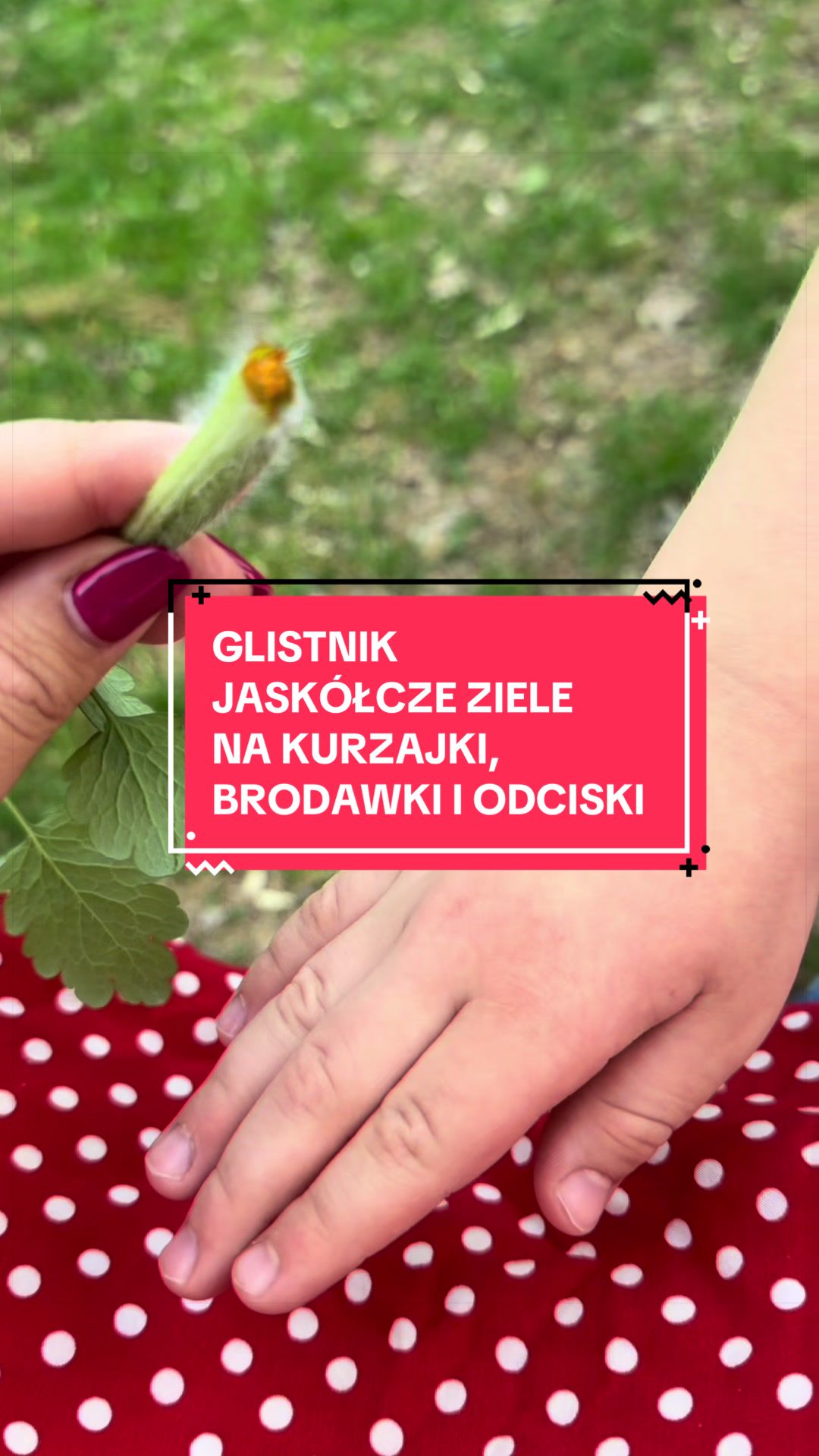 @zacznijodzdrowia.pl