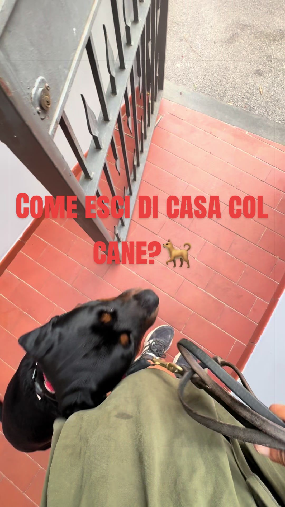 @Le avventure di Thor 🌪️ w ❤️