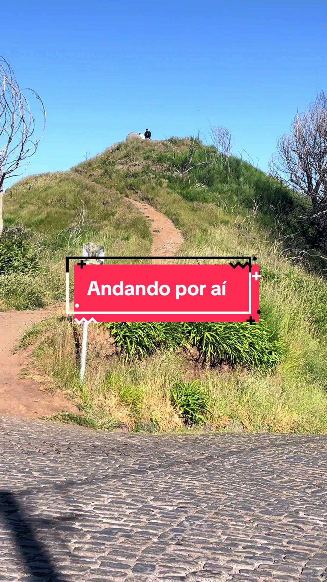 @Graca.Madeira