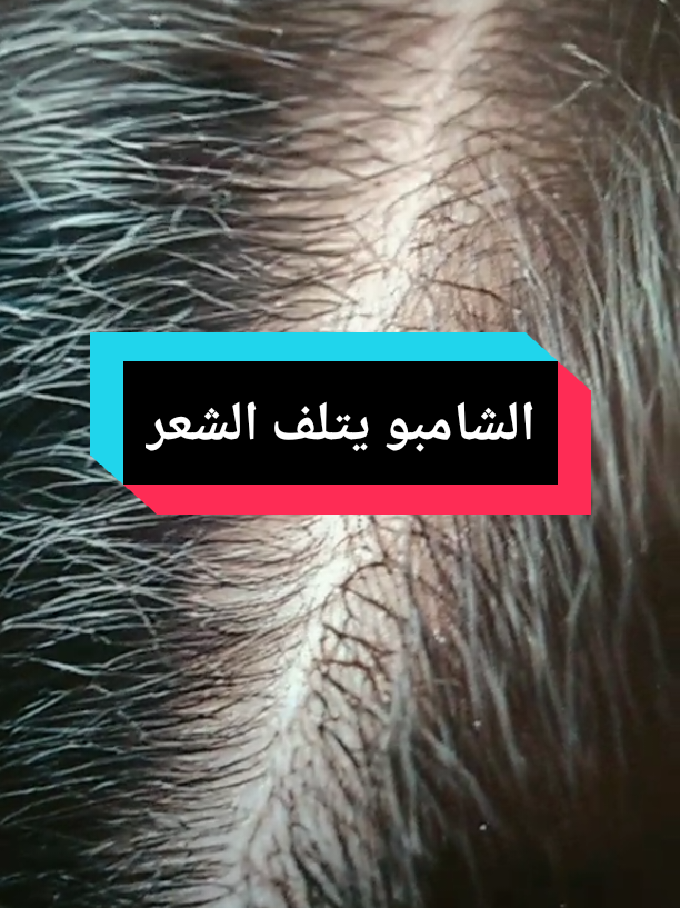 @Free Minds | العقول المتحررة💡