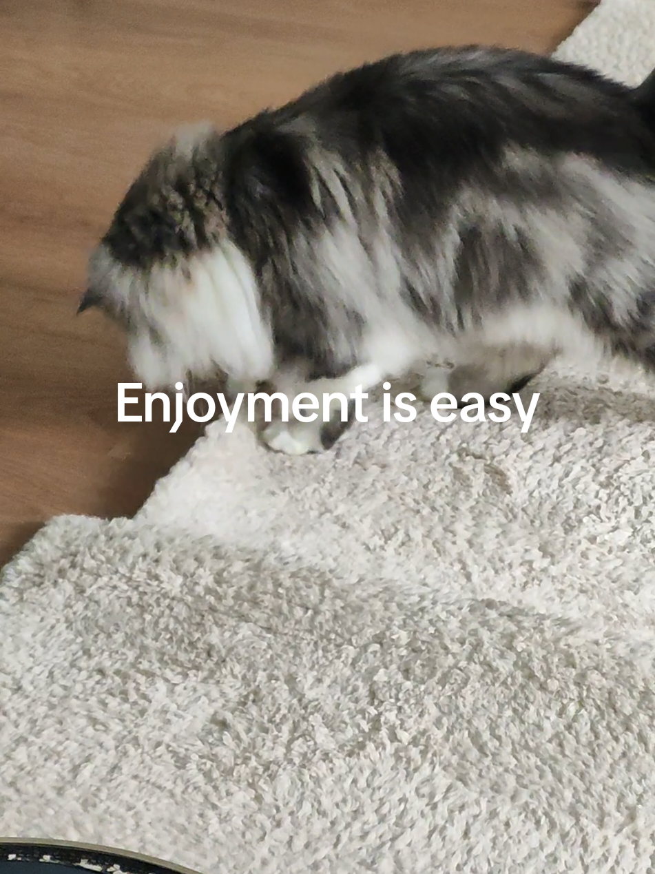 @LeonMylo