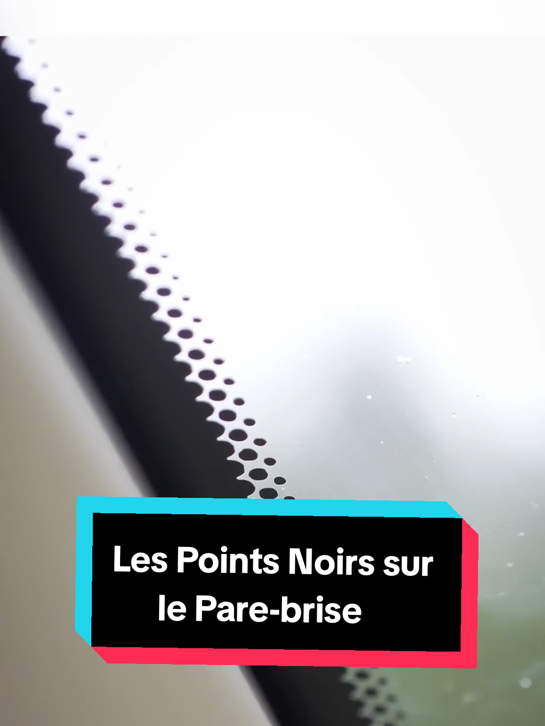 @Savoir Plus 🤓