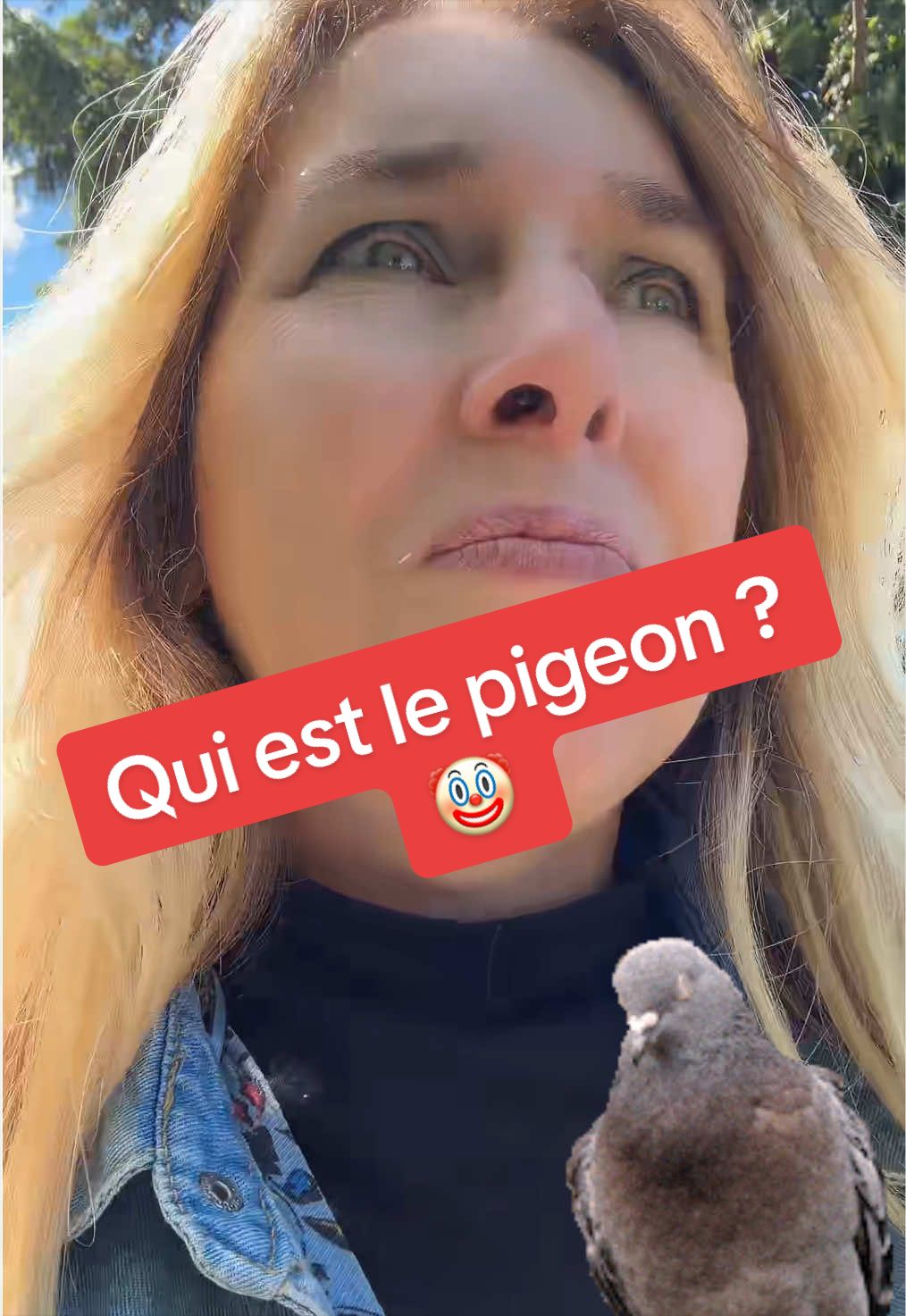 @DivaEnCarton
