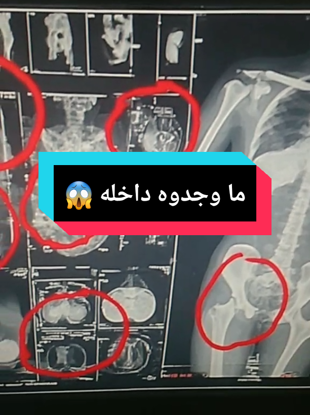 @Free Minds | العقول المتحررة💡