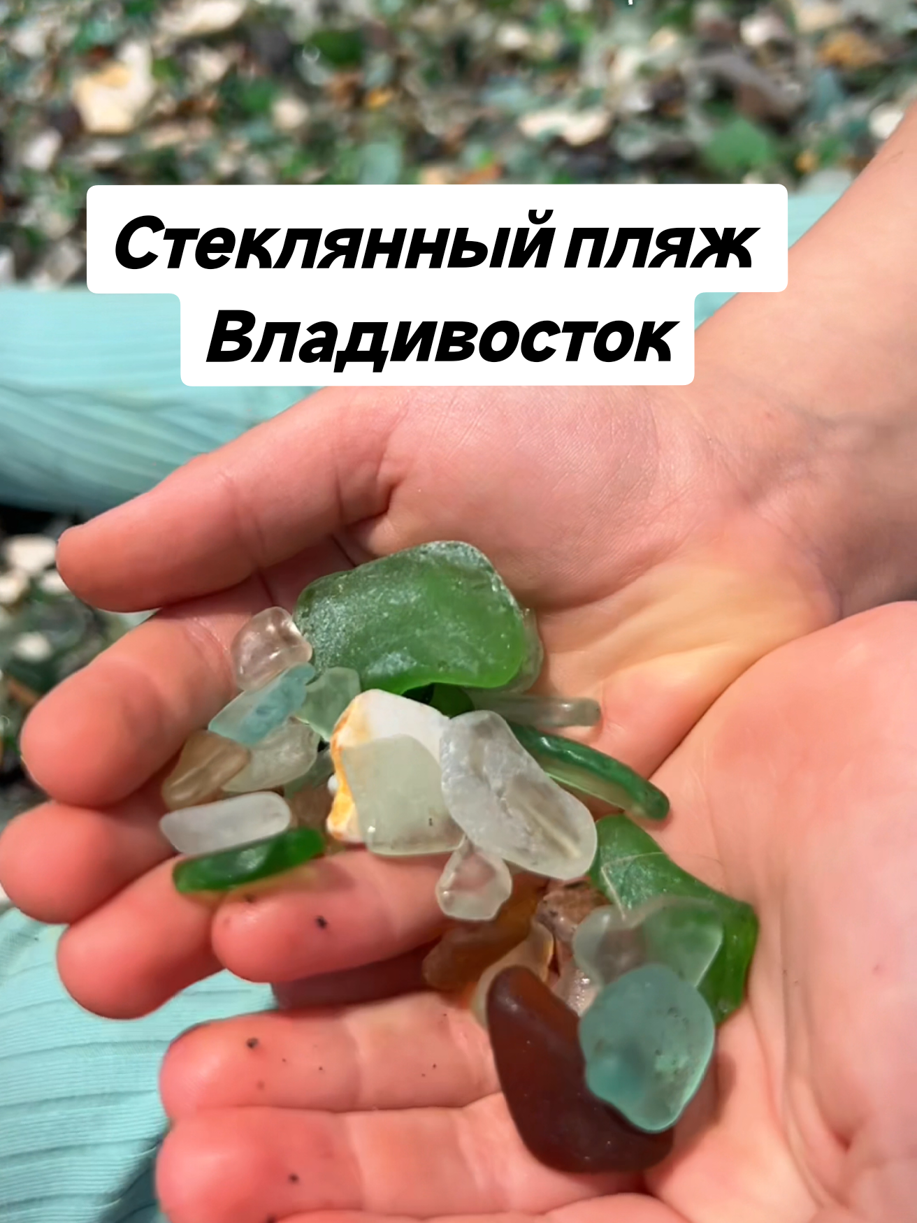 @Елена Шкода