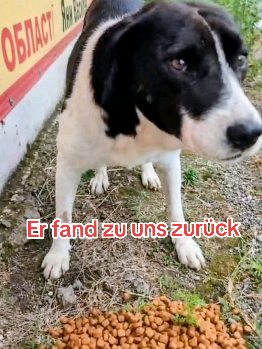 @ShelterBande