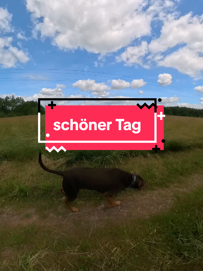 @Paddy und Sally
