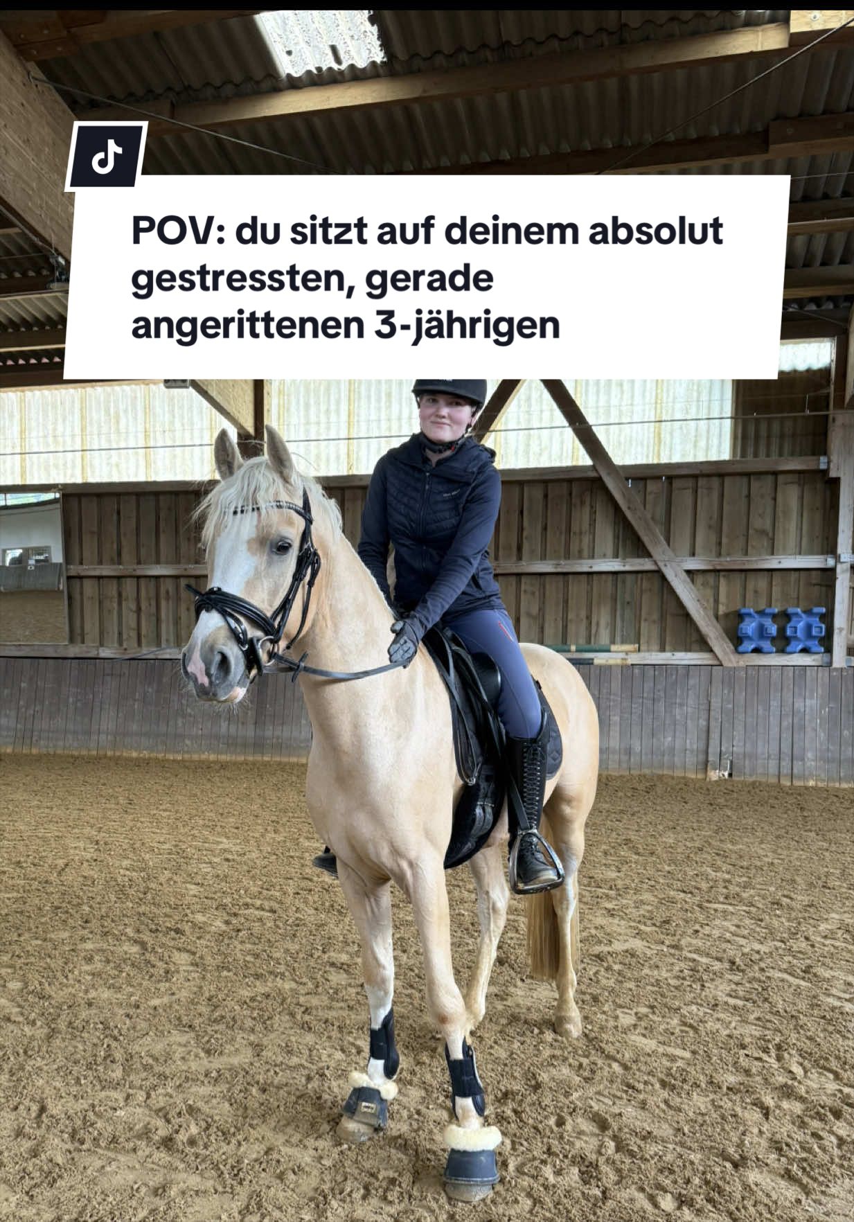 @Sophia &bull; SL Reitschule