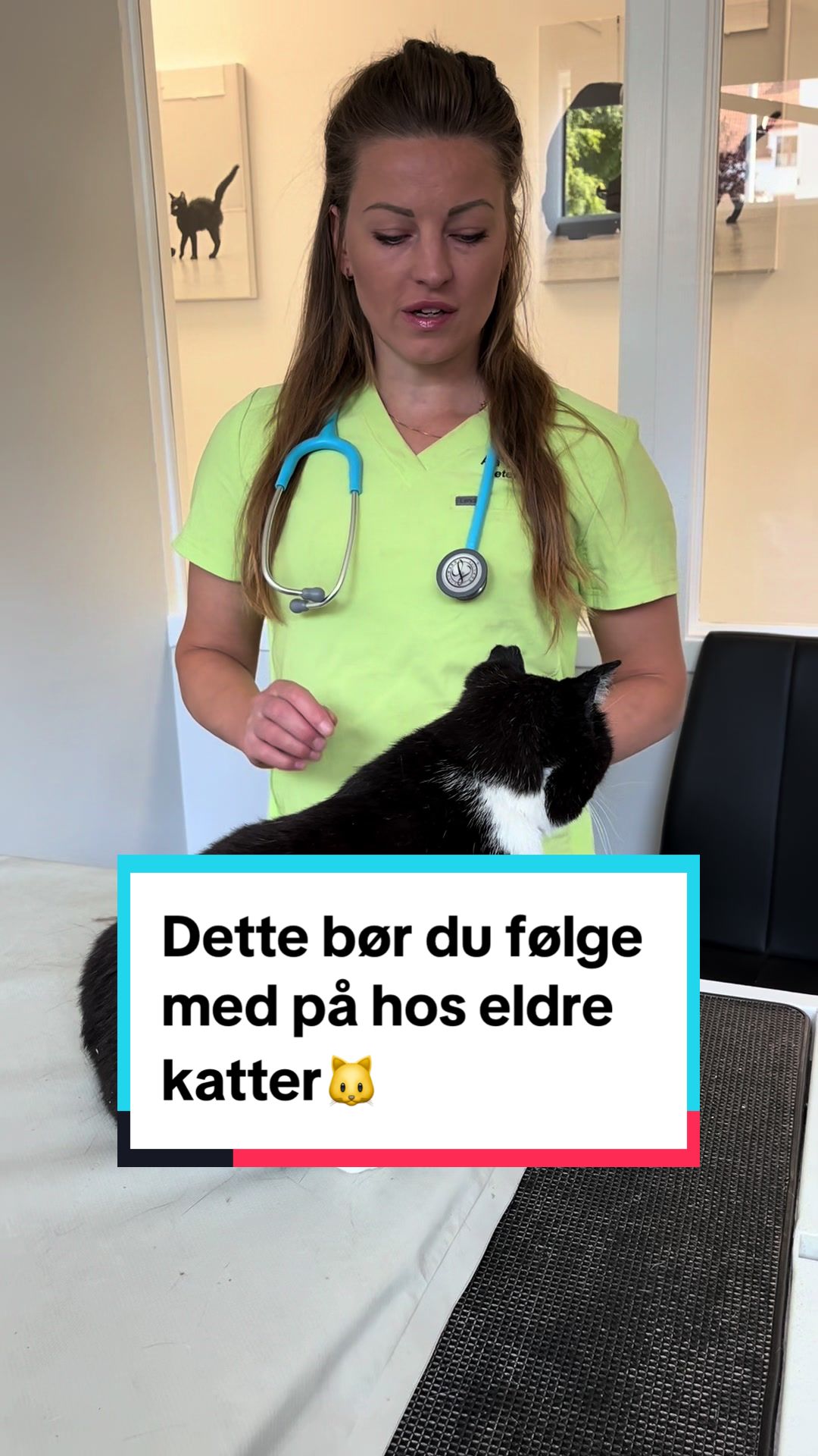 @dr.aya.vet