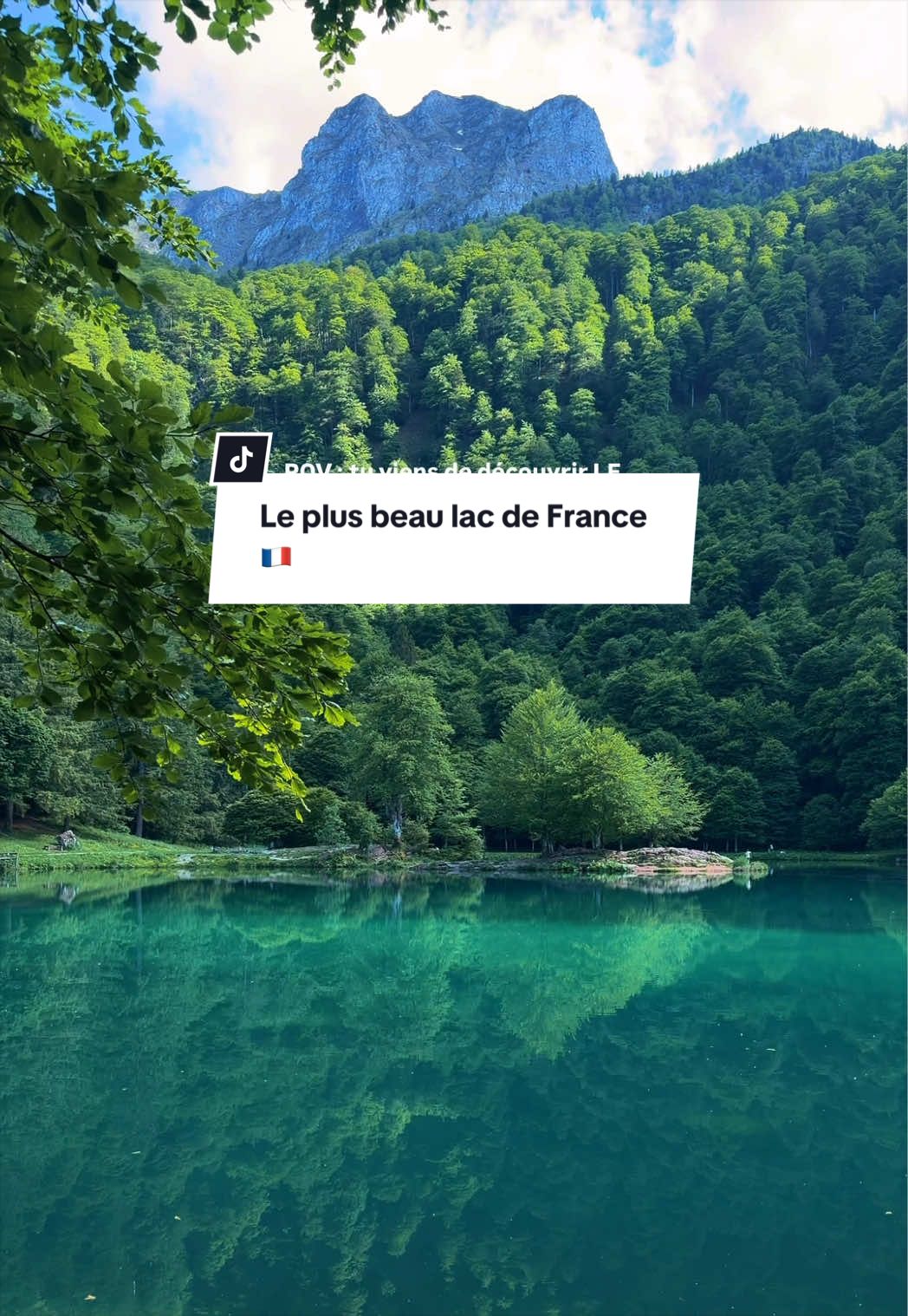 @monsieur.chocolatine