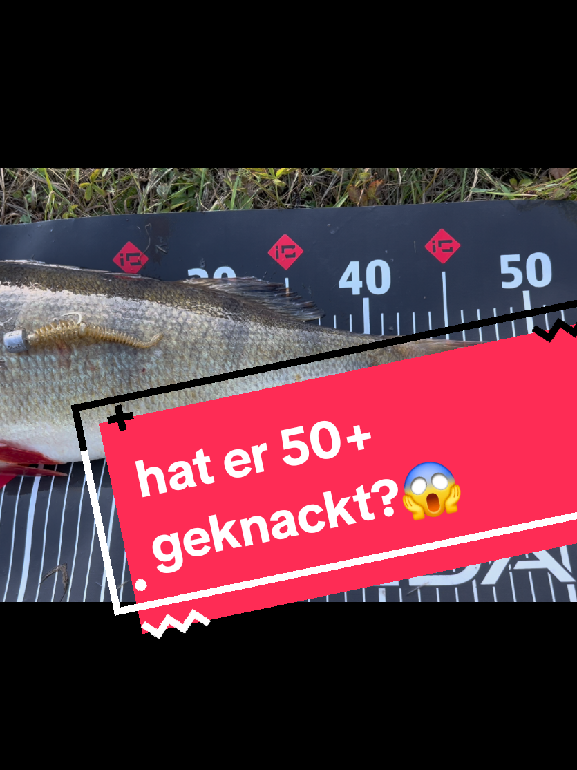 @Iron Claw_Fishing