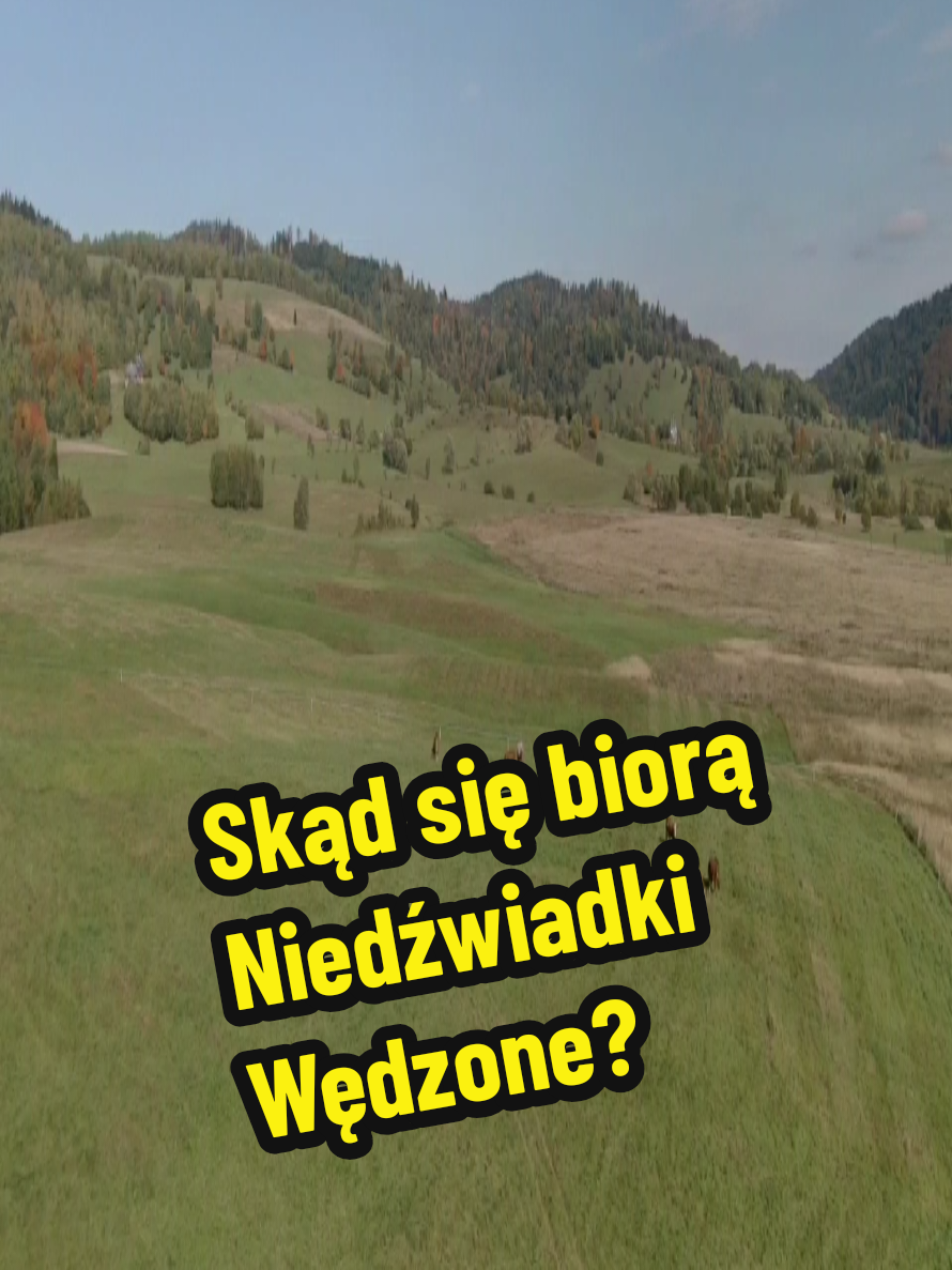 @Ania z Bieszczadzkiej Hecy🧀
