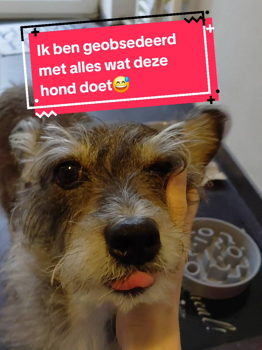 @Safrina's wereld
