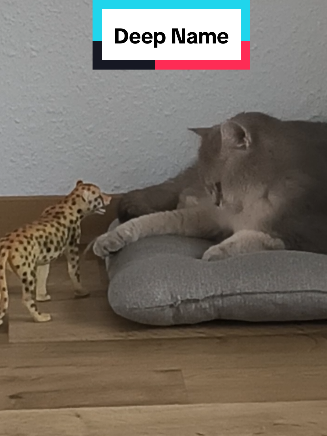 @Nala