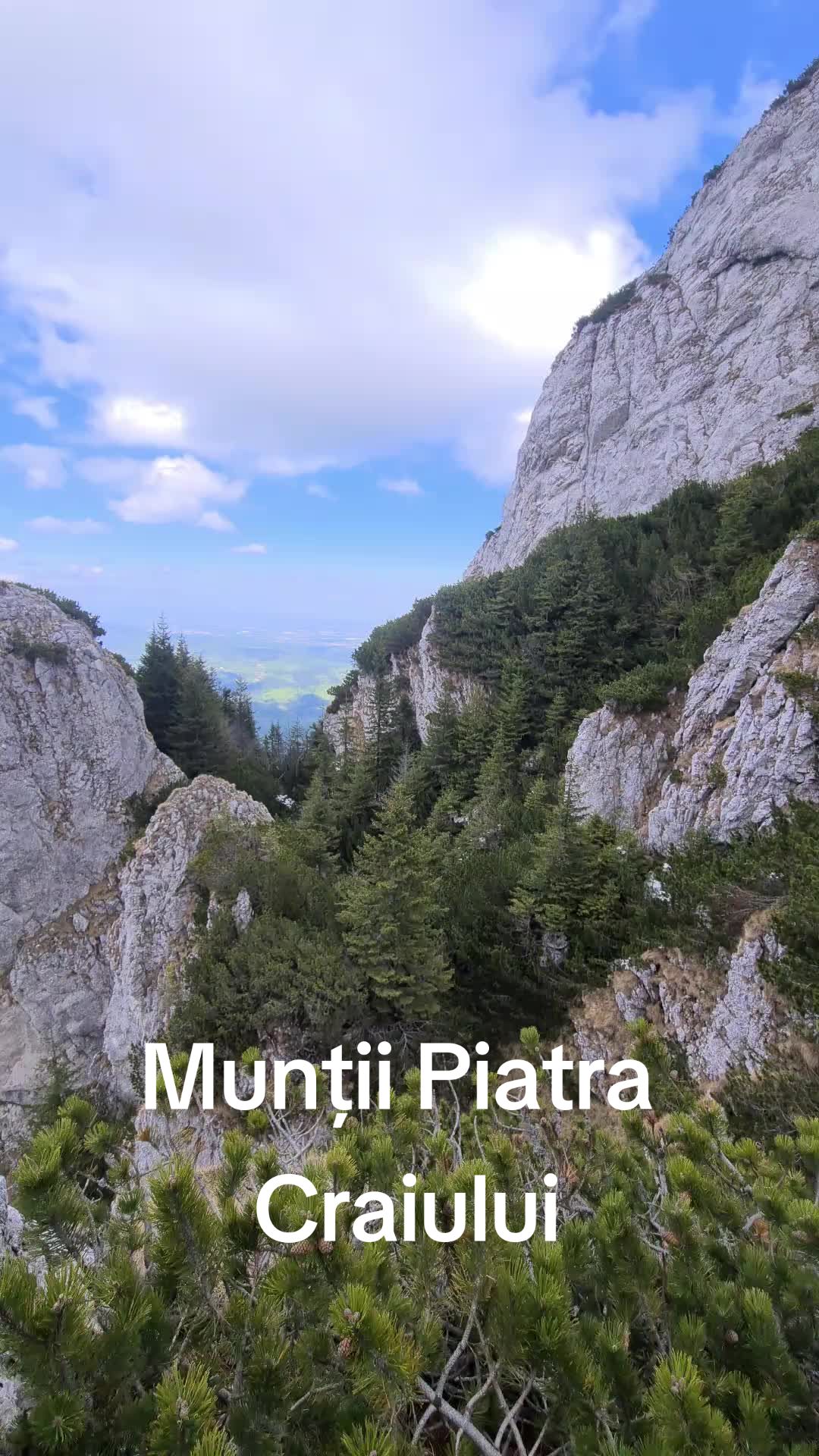 @Alexandra