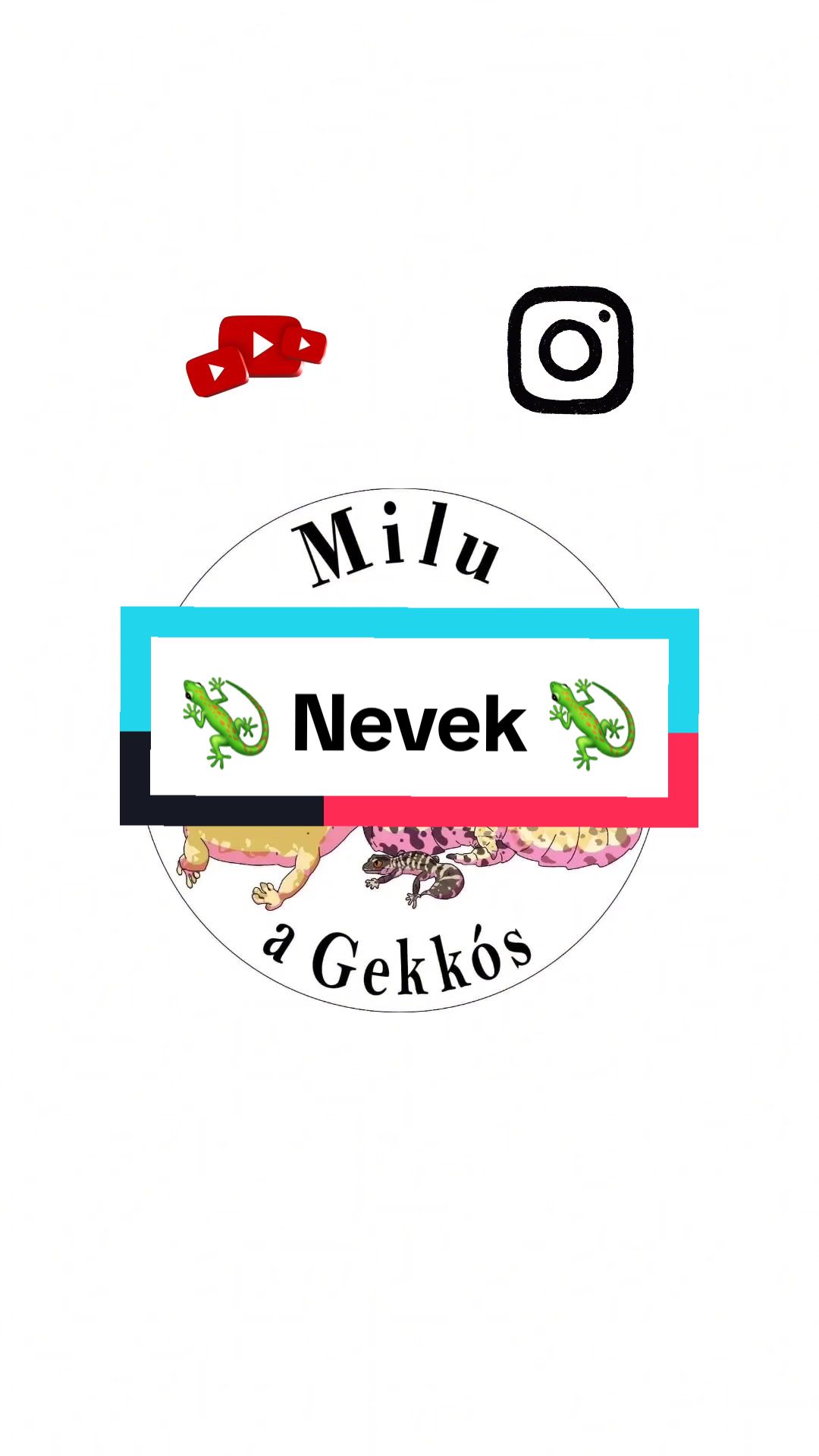 @Milu a Gekk&oacute;s 🦎