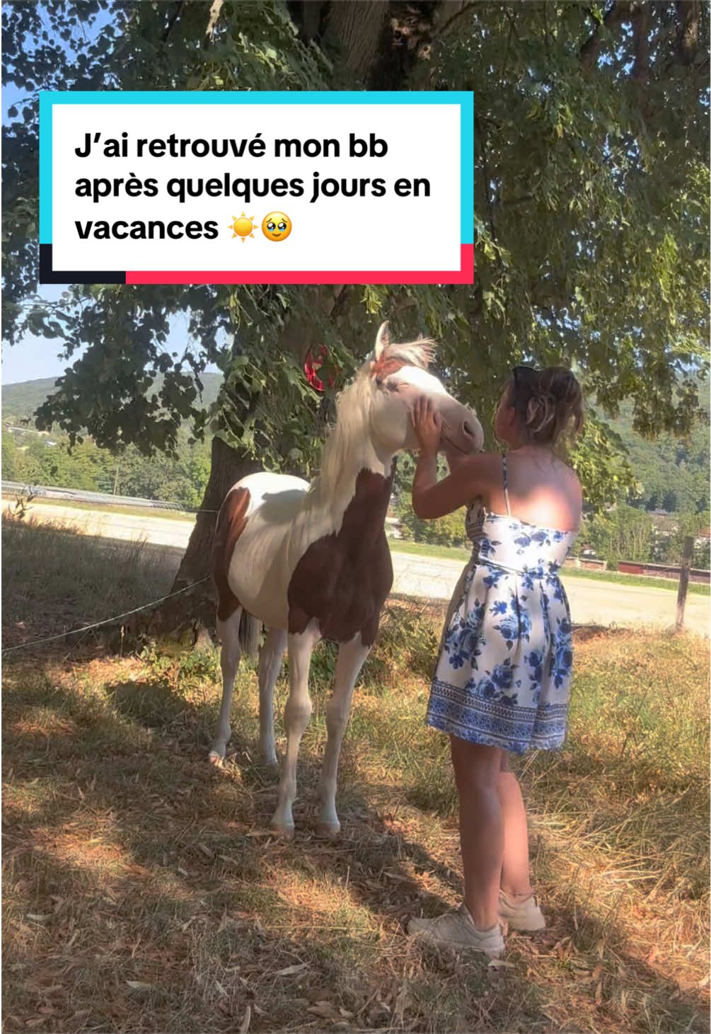 @mon poney pie